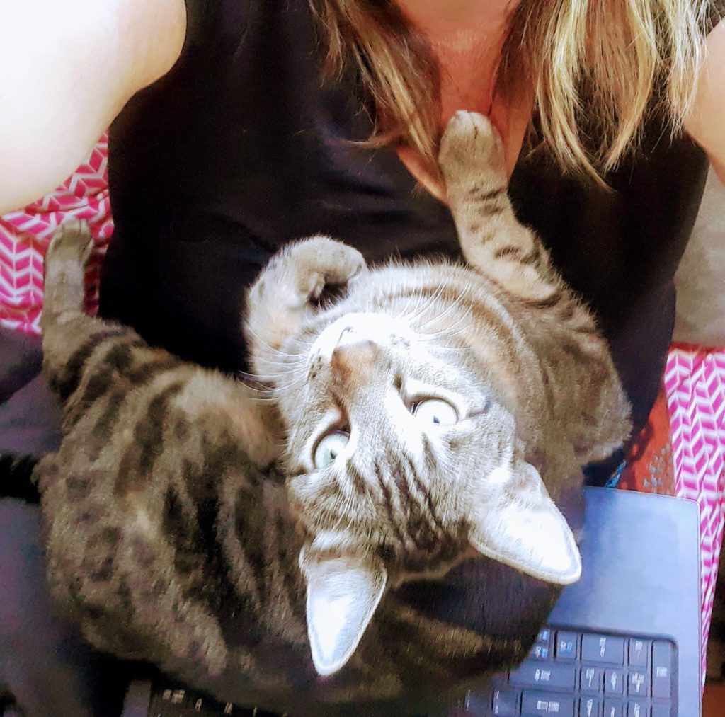 cat loves me,