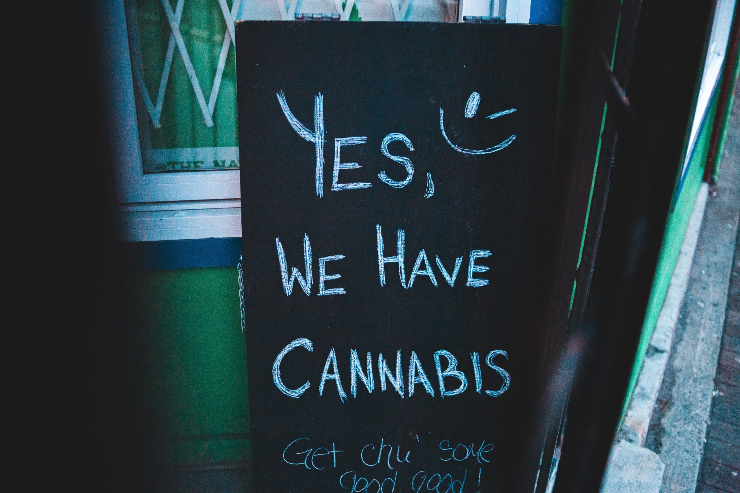 CBD for Cats