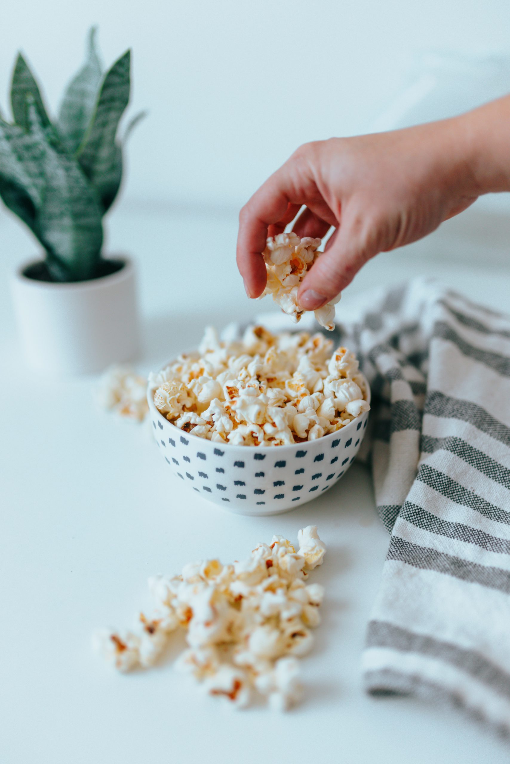 Is popcorn bad for my cat? I love to share