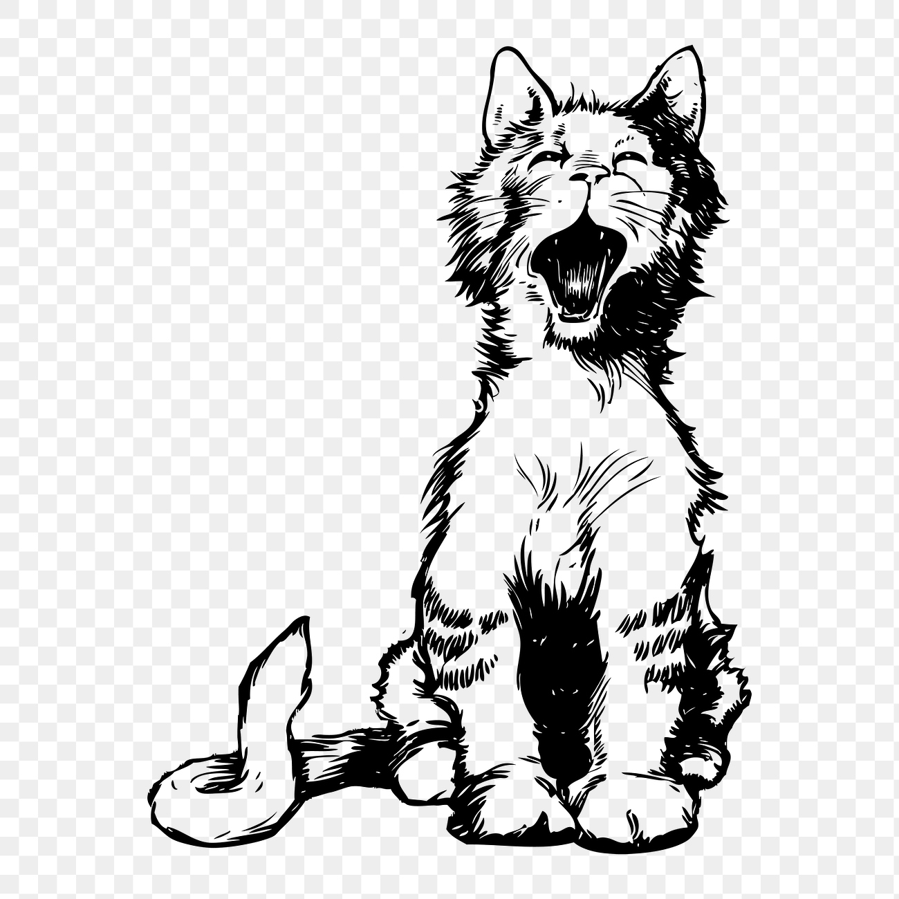 Yawning cat png sticker, animal